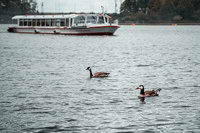 Day Cruise in Kochi